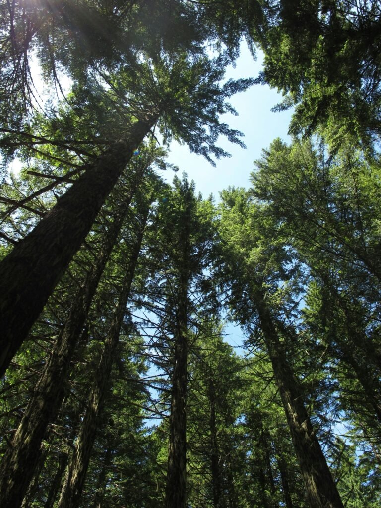 Les pompes à chaleur : un avenir prometteur pour la planète